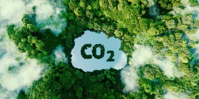 Auf der Zielgeraden: Fortschritte der CDRterra- und CDRmare-Projekte zur CO2-Entnahme aus der Atmosp