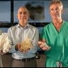 3D-Druck im Krankenhaus: Materialise Mimics Care Suite