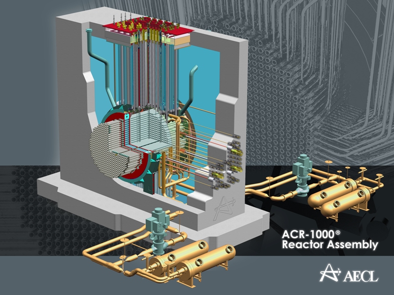 ACR-1000 reactor assembly